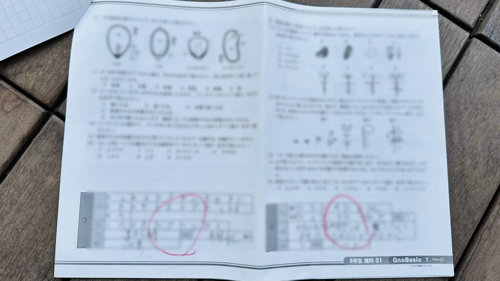 保存版】 グノーブル 6年 国語通常授業・土曜特訓 2022年度 参考書 